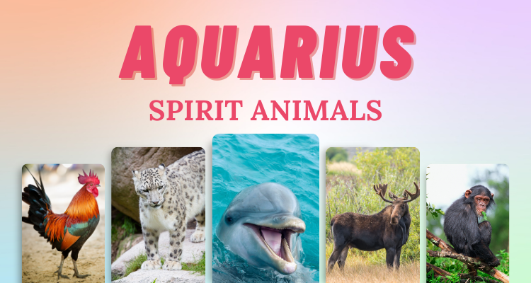 7 Aquarius Spirit Animals that Embody this Zodiac Sign | So Syncd