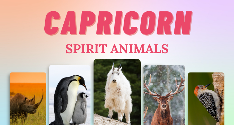 7 Capricorn Spirit Animals that Embody this Zodiac Sign | So Syncd