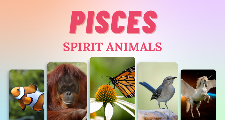 7 Pisces Spirit Animals that Embody this Zodiac Sign | So Syncd