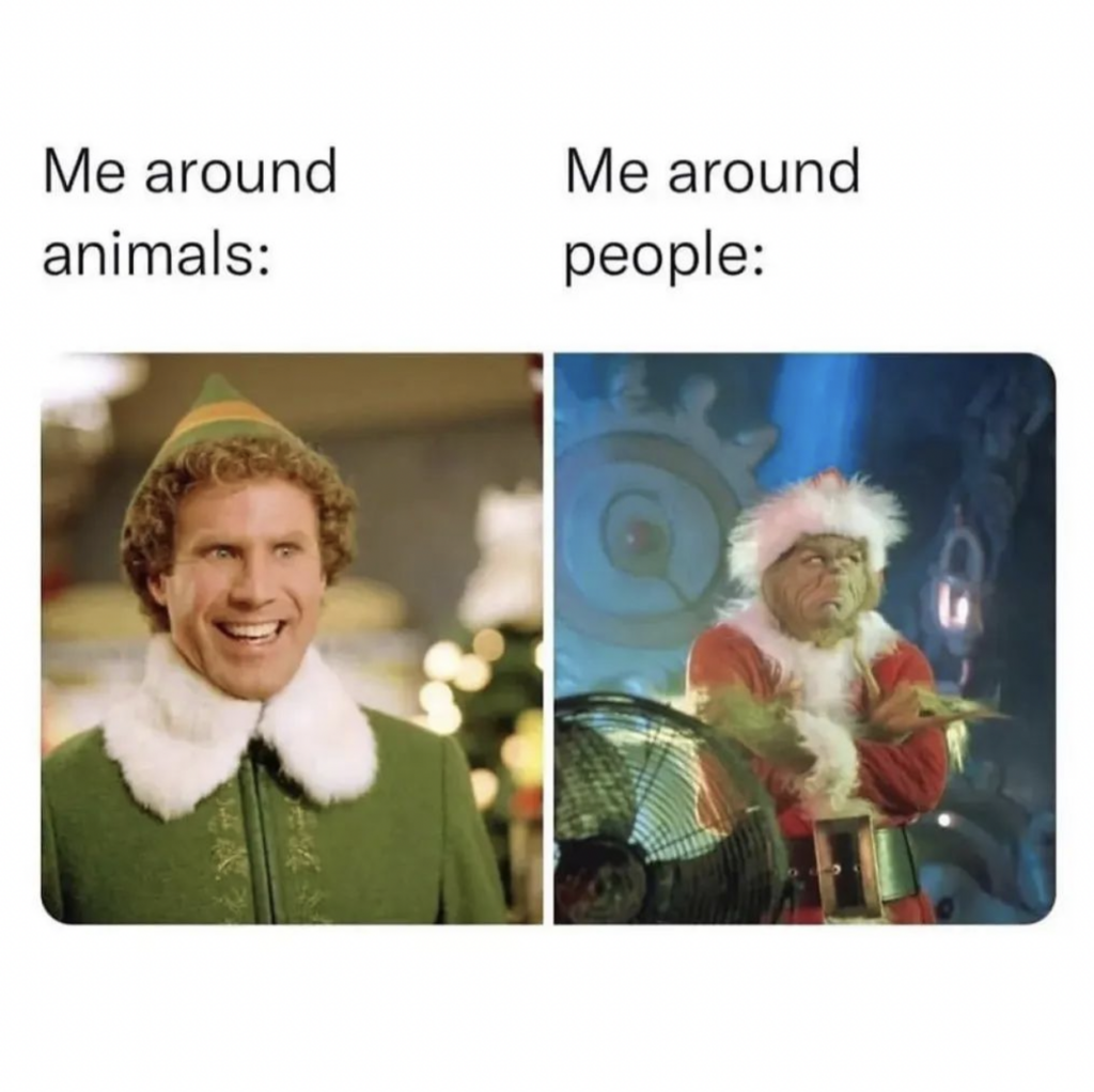 me around people versus me when i see animals