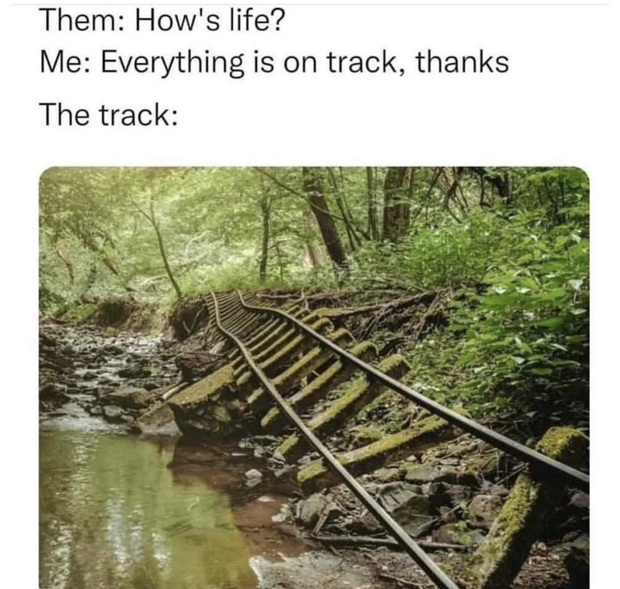 hows life? everything is on track thanks. the track