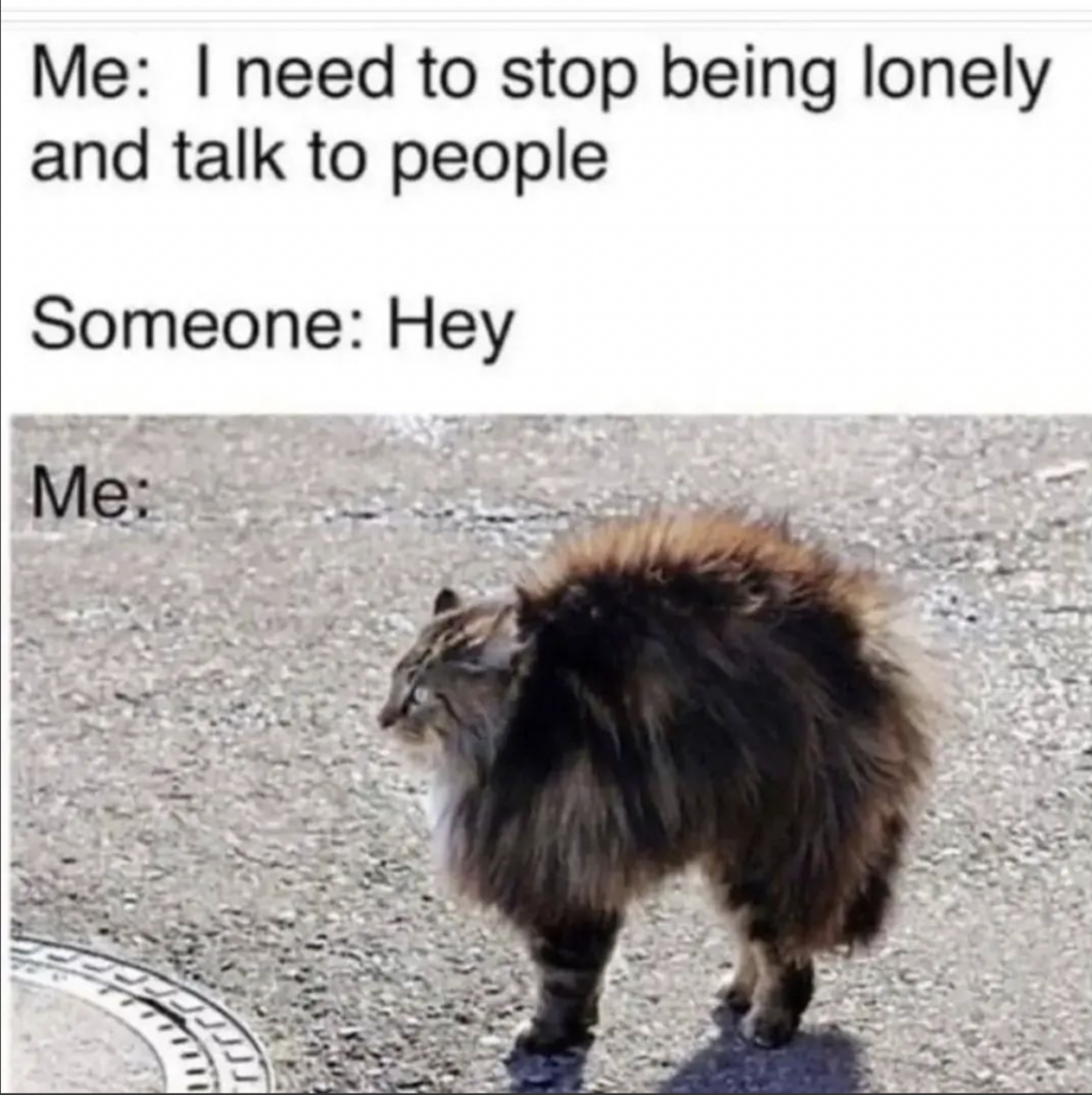 introvert funny life meme