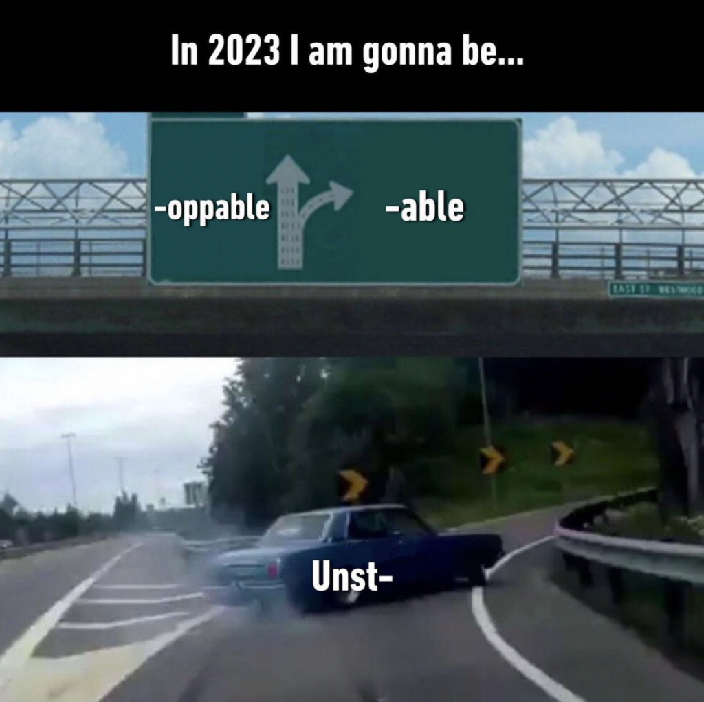 funny memes about life 2023 unstoppable unstable