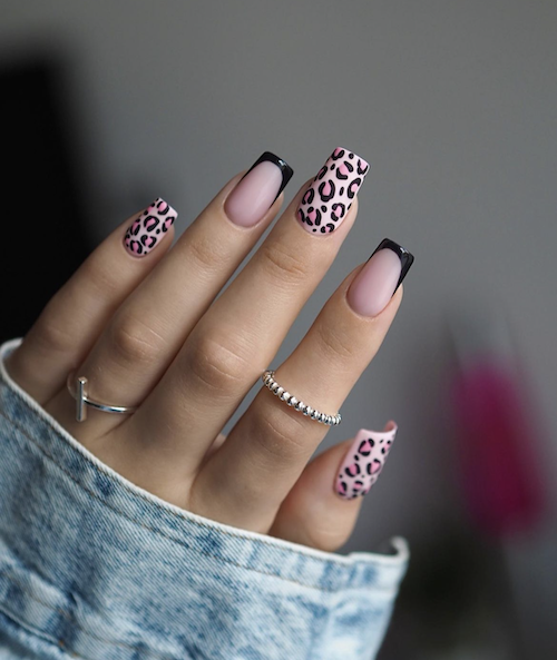 Black and pink leopard