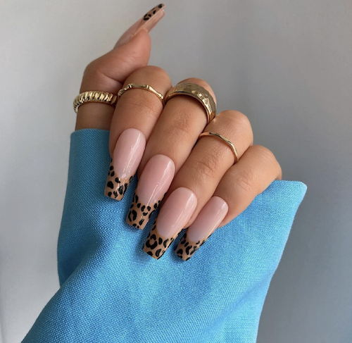 Leopard tips