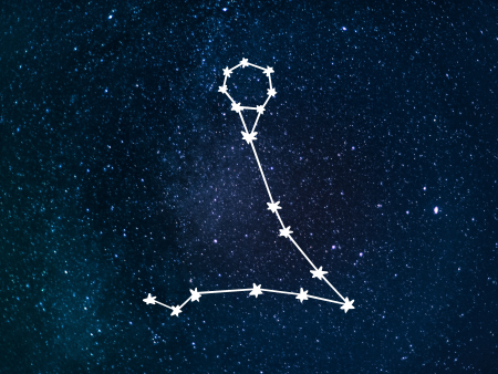 February 20 zodiac sign constellation