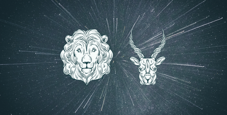 Leo and Capricorn Compatibility